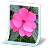 File Picture Icon 48x48 png